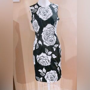 Kate Spade Aires Rose Abbey Sheath Dress Size 8 Black/Gray/White Floral